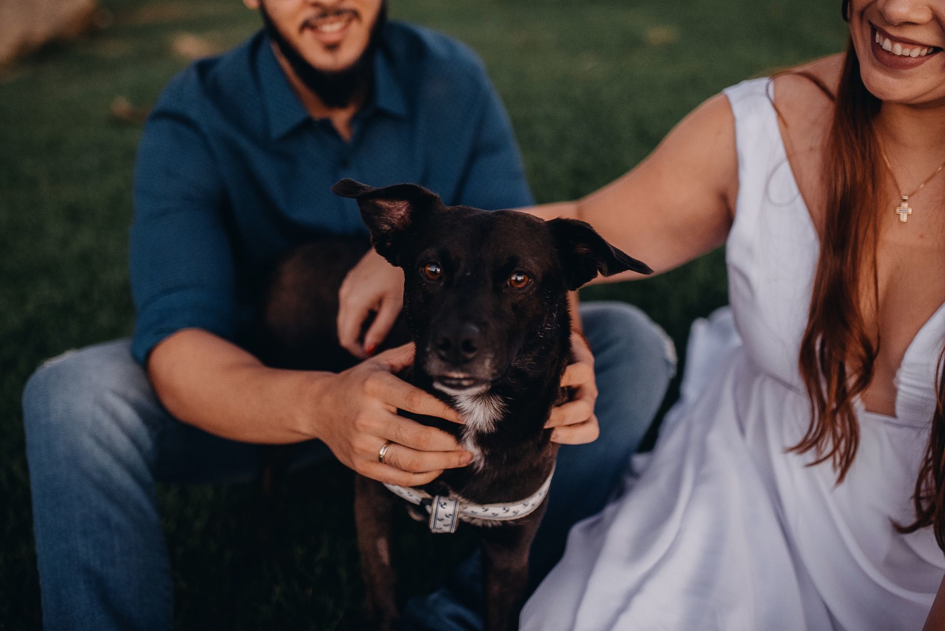 010 ensaio origem colegio cachorro romantico