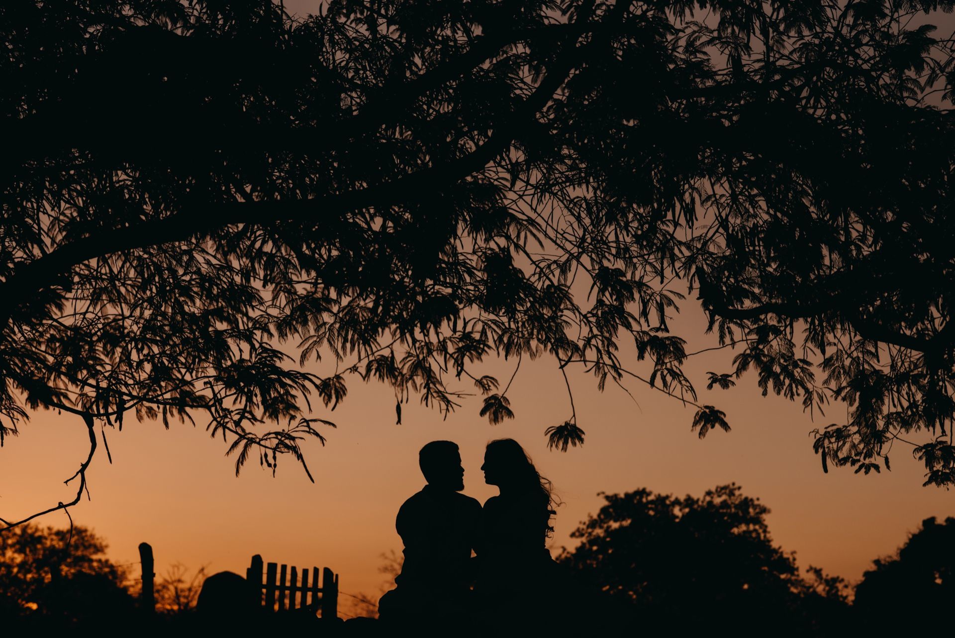 Foto Camila e Abilio - Imagem 7