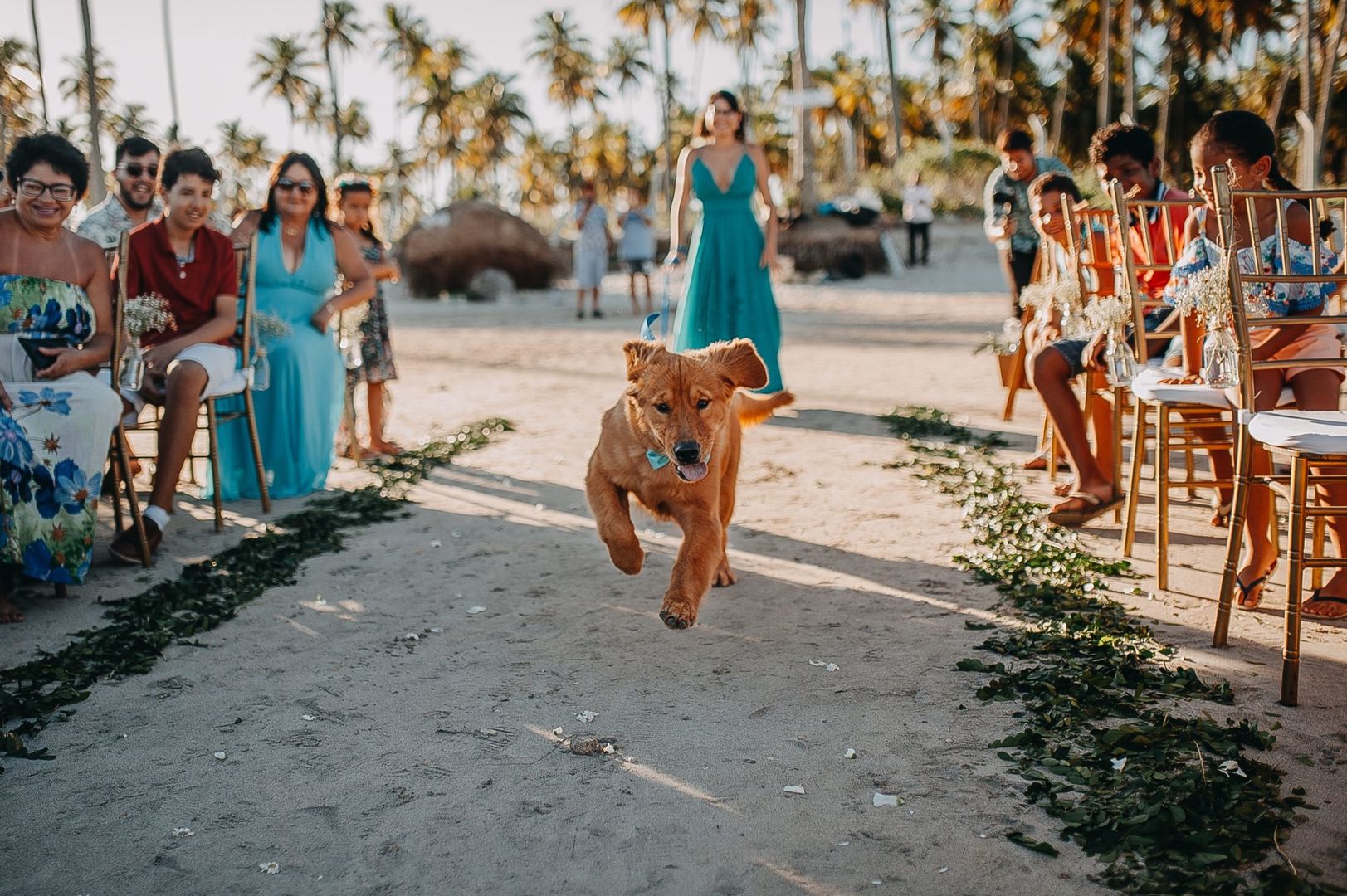 Foto Penha e Djeison - O Casamento - Imagem 9
