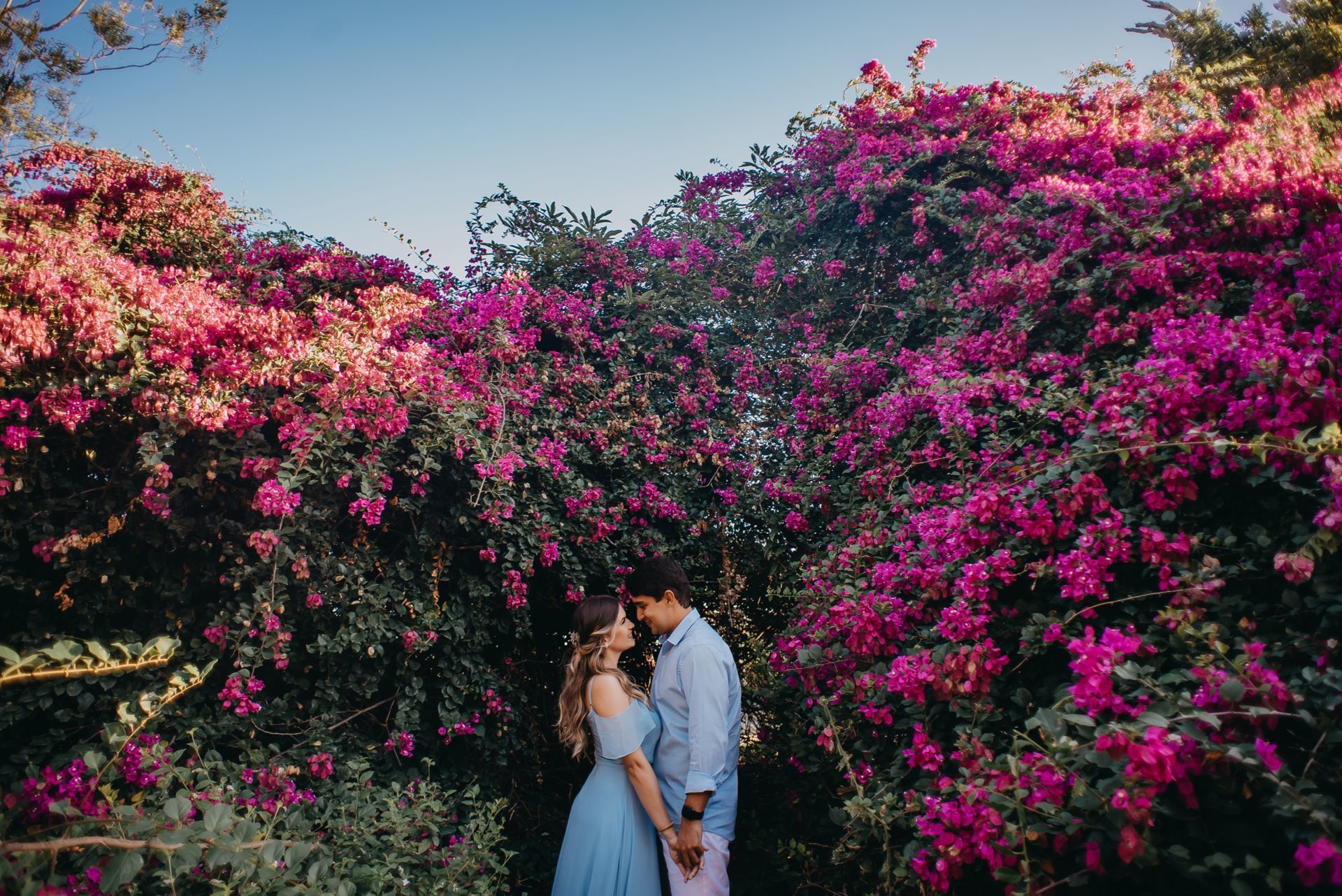 Foto Clarissa e Vinicius (e Lili) - Imagem 2