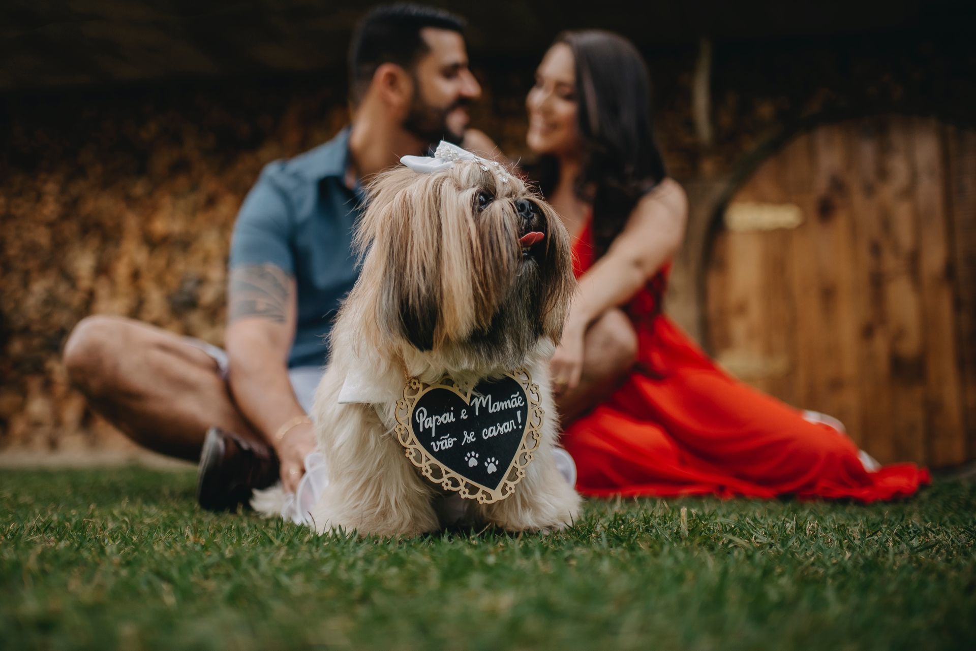 Foto Morgana e Marcelo - Imagem 7