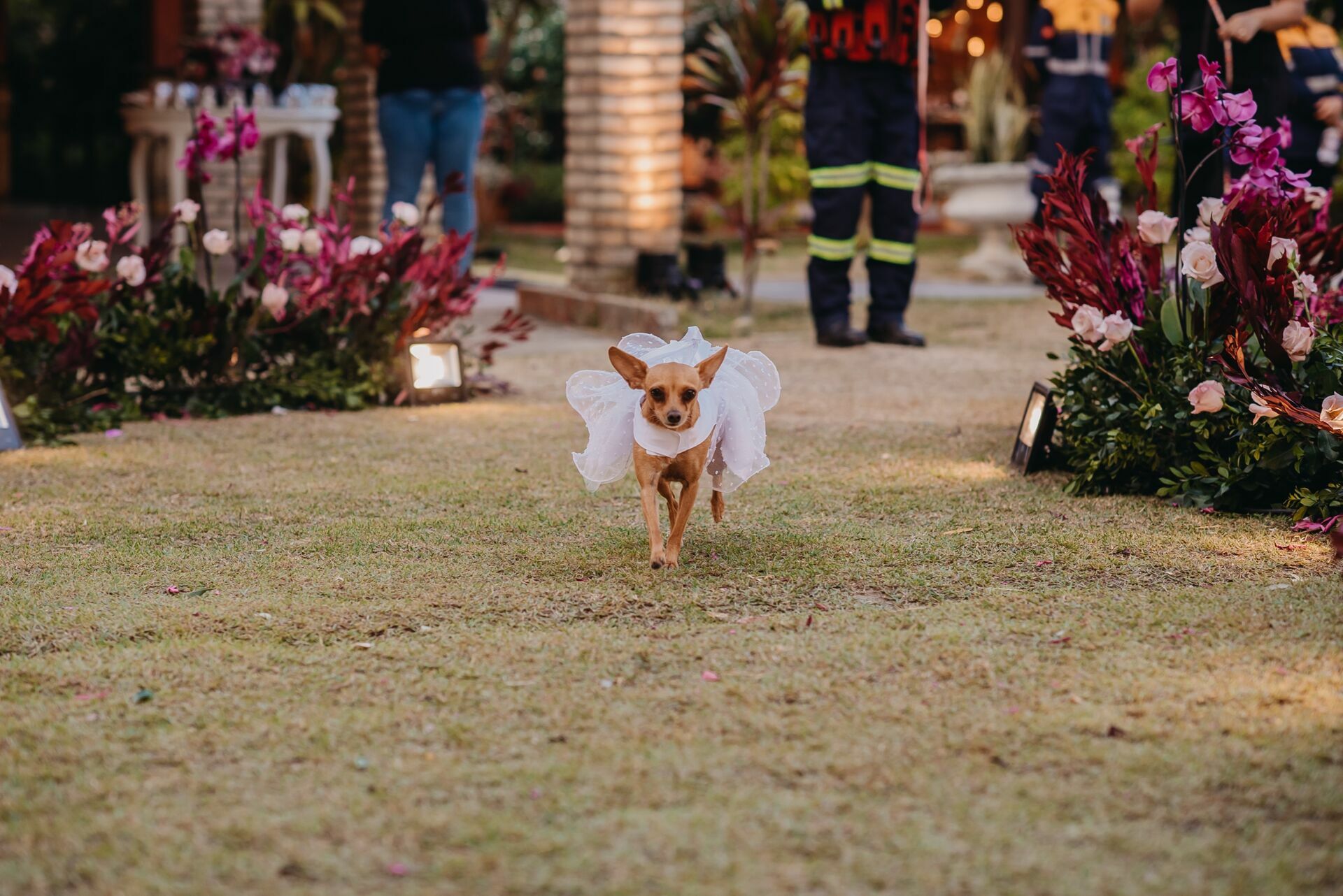 Foto Alline e Ralf - Casamento - Imagem 24