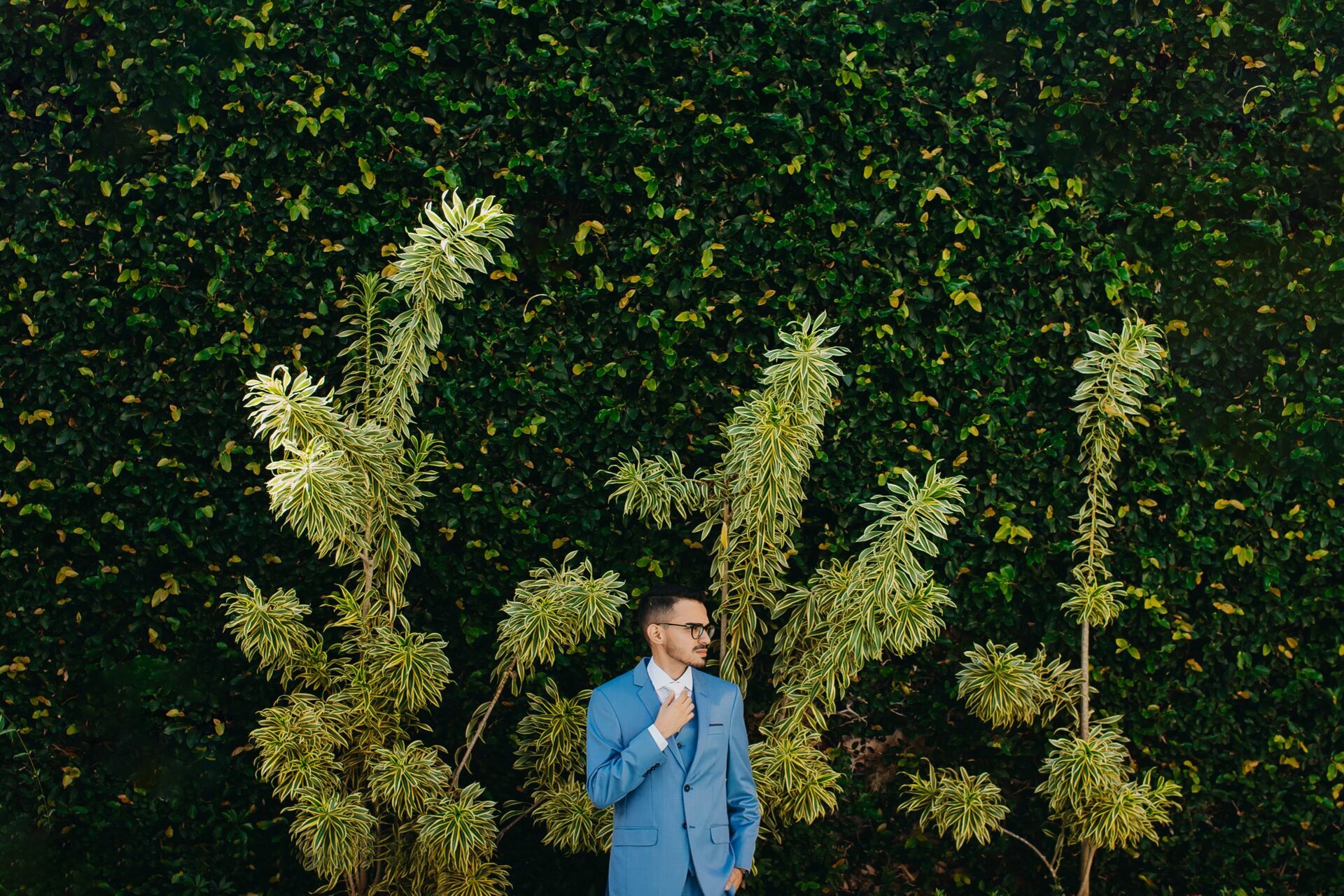 Foto Milena e Thiago - Casamento - Imagem 0